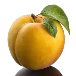 Imagen PNG para descargar